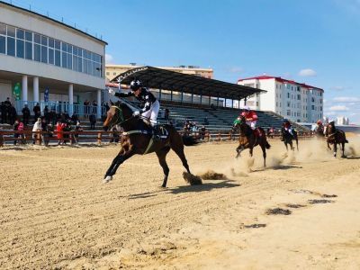 В День Победы стартовал летний сезон конных скачек
