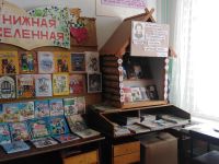 Библиотека № 14 с. Зыково