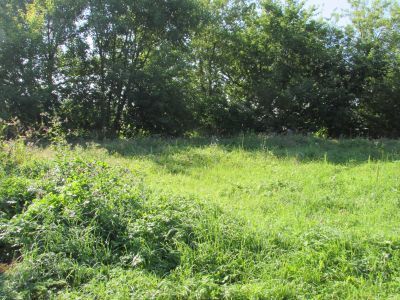 Троицкая церковь