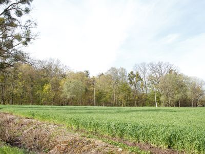 Парк «Майское»