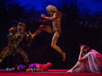 Театр Терезы Дуровой