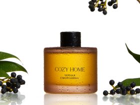 Диффузор Черная смородина 50 мл