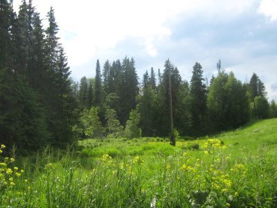 Священная роща