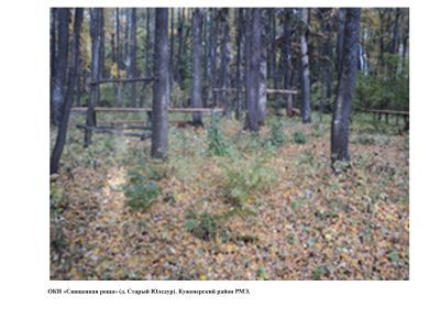 Священная роща