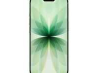 Смартфон Apple iPhone 17 512Gb (Sage) (eSim)