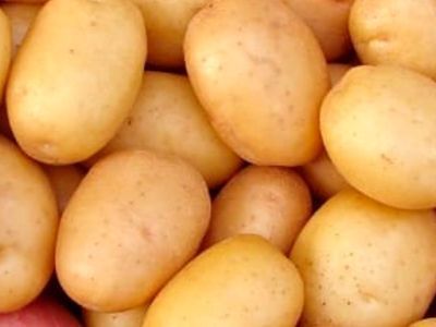 Импортёр картофеля из-за нарушений лишился права его реализовывать