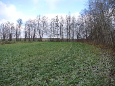 Плодовый сад