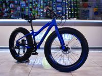 Подростковый велосипед Stels Aggressor D 24 V010, год 2025, цвет Синий, ростовка 13.5