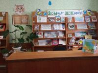 Стеклозаводская библиотека