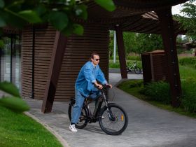 Электровелосипед Alpine Bike Dammastock, год 2025, цвет Коричневый, ростовка 20