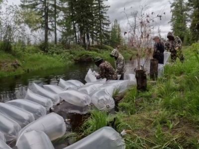 В реку Вилюй Якутии выпустили порядка 32 млн мальков рыб