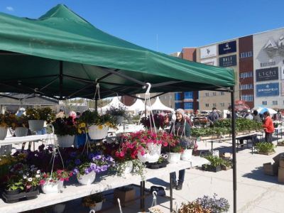 На Комсомольской площади Якутска открылась выставка-ярмарка рассады и цветов