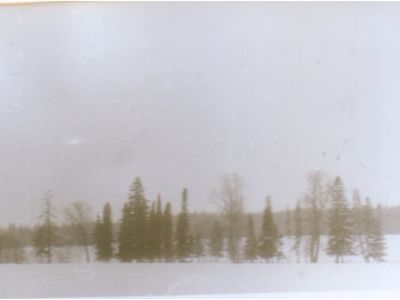 Священная роща