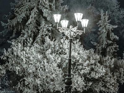 Музыкально-поэтический концерт «Снег идет»