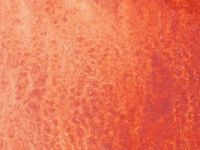 Пигмент "Минеральные пигменты" банка 25 г Киноварь