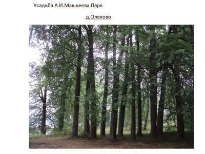 Усадьба А.И. Макшеева. Парк
