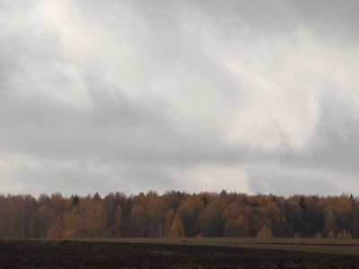 Священная роща