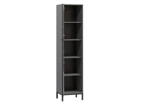 Витрина Трейвис 1-48x205 Графитовый