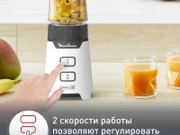 Блендер Moulinex Minimix LM16L110