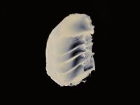 Гель-разбавитель для масляных красок nuance., 150 мл, дой-пак