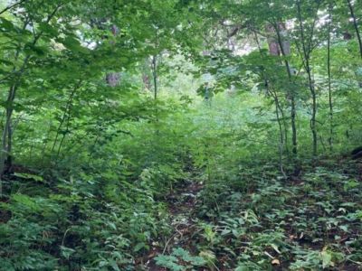 Усадьба О.А. Железновой