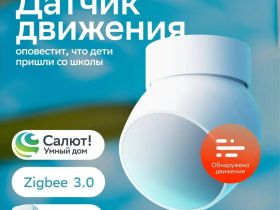 Датчик движения Sber