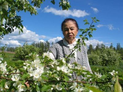 Плодово-ягодному саду города Покровска присвоили имя Марии Чертковой
