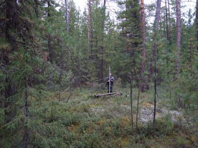 Нижнее кладбище юрт Осетных