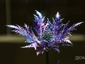 В Якутске открылась выставка Маргариты Зиминой «Цветы России»