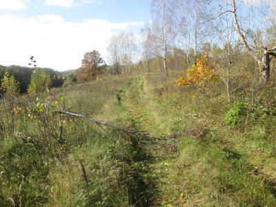 Родина советского писателя В.П. Ильенкова