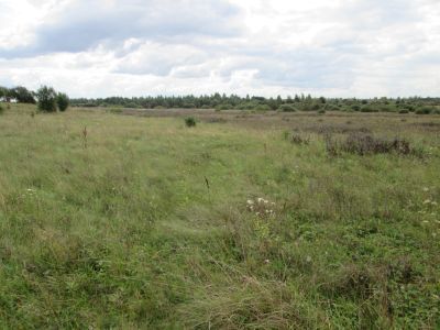 Памятное место, где в 1942 г. произошел первый крупный бой кардымовских партизан с отрядами фашистских оккупантов