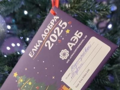 «Ёлка добра»: солнечные дети поверили в чудеса благодаря клиентам АЭБ