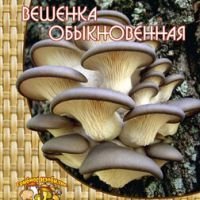Вешенка обыкновенная (12 шт.)