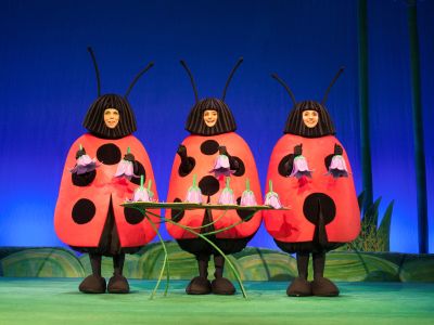 Билеты на Букашки. Фантазия! (Театр Терезы Дуровой) / Театр | Афиша | ИнфоТаймс