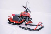 Снегоход IRBIS Dingo T200 XE 25/26 New