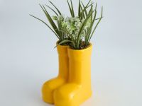 Букет Ренэ/Rene II