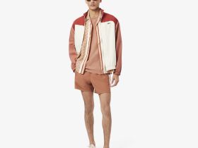 Мужская футболка Lacoste из хлопка