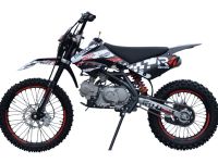 Питбайк REGULMOTO Seven Medalist 19/16