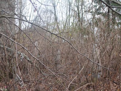 Памятное место, где в 1942 г. располагался партизанский лагерь соединения «Батя»