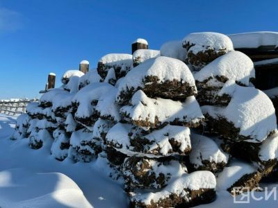 Объясняем новые правила обращения с навозом: кого коснется закон и как избежать штрафа