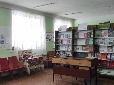 Библиотека № 70 с. Шевыревка