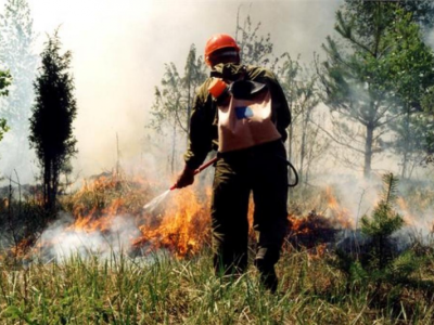 В Мирнинском районе тушат три лесных пожара
