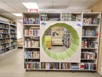 Модельная библиотека № 25 им. В. М. Пескова