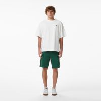 Мужские хлопковые шорты Lacoste