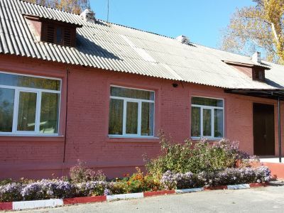 Боровогриневская сельская библиотека