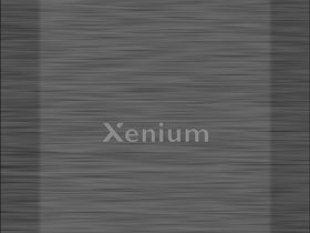 Мобильный телефон Xenium X800 Чёрный