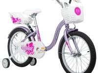 Детский велосипед Stels Echo 18, год 2026, цвет Фиолетовый