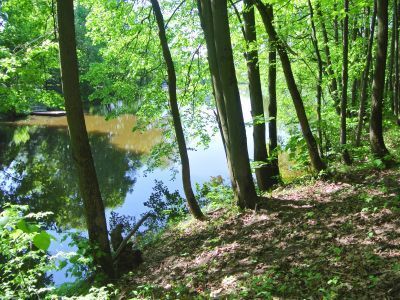 Усадьба "Бачурино"