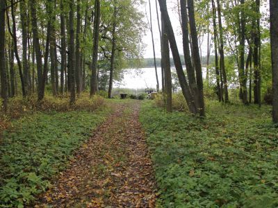 Усадебный парк имения Бакуниных