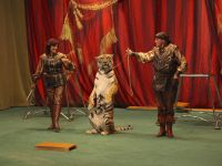 Театр «Уголок дедушки Дурова»